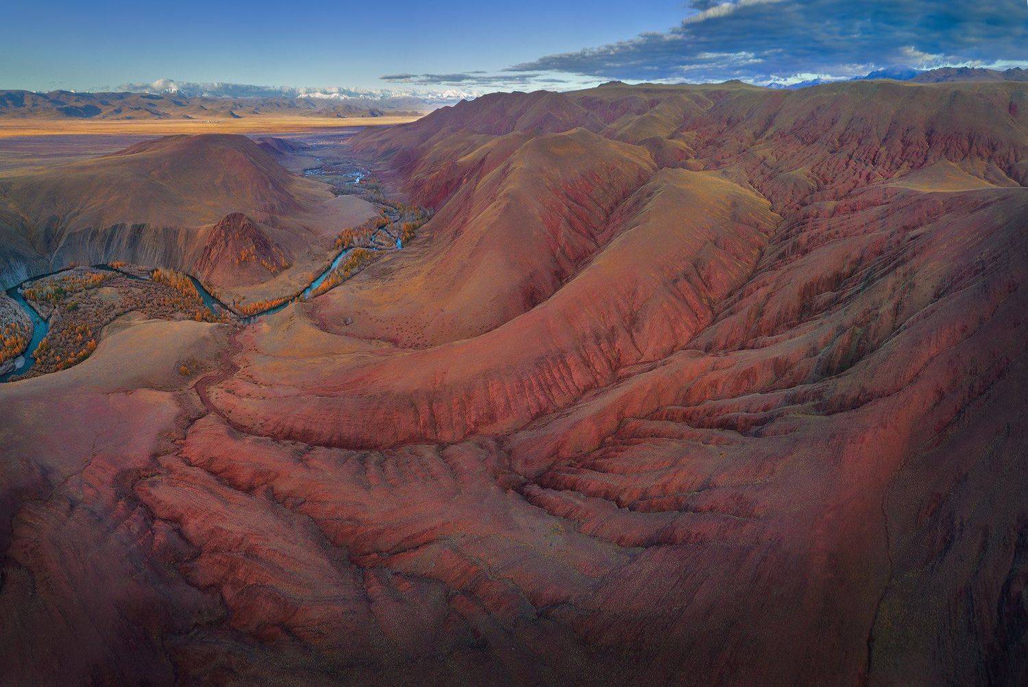 , Андрей Родионов