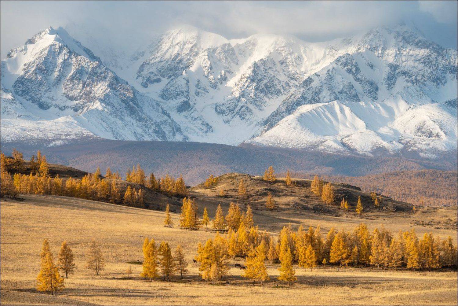 горный алтай, Leonid Shtishevskiy