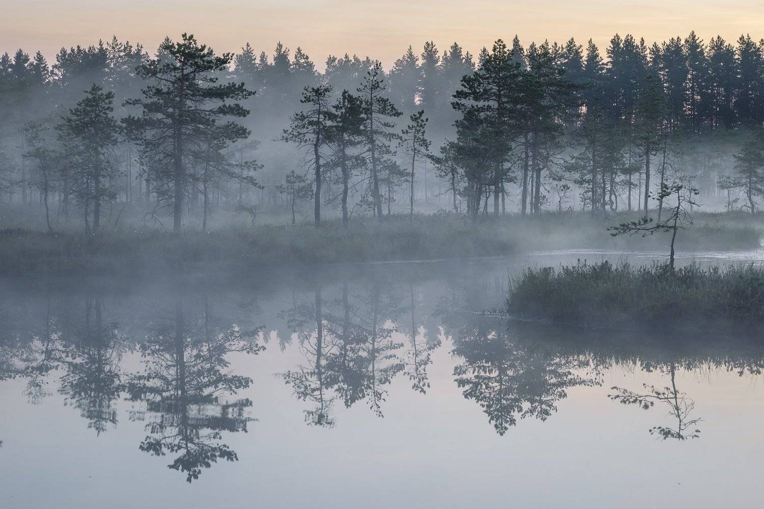 ленинградская область, ленобласть, Александр Писарев