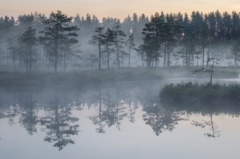 ленинградская область, ленобласть Туман фото превью