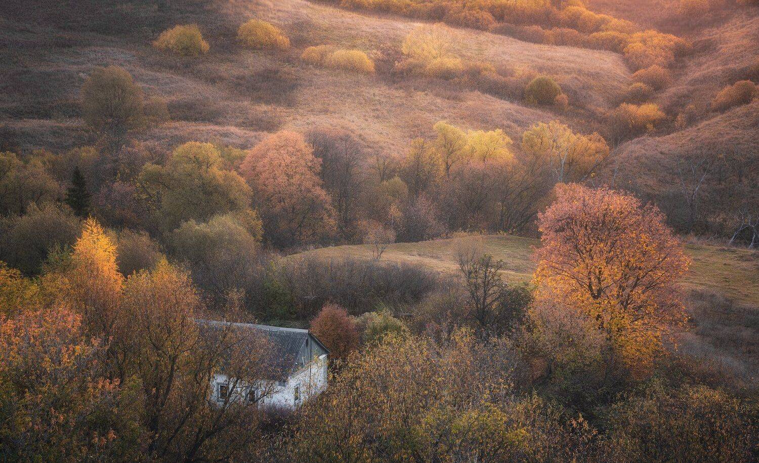 , Виталий Левыкин