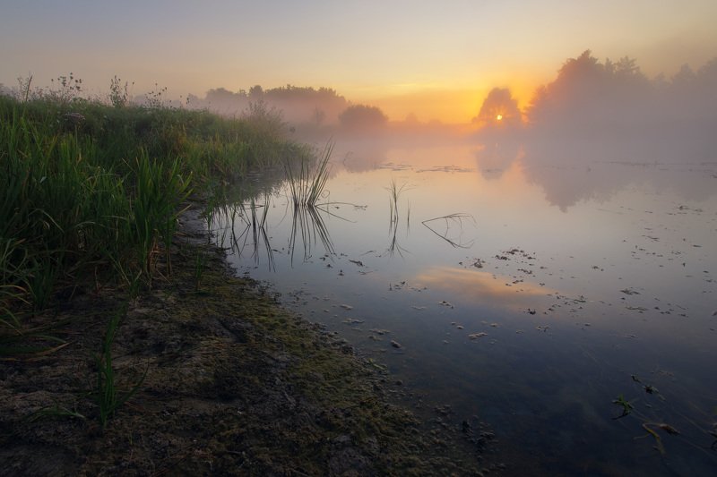 река, солнце, туман, утро, рассвет, волчья, river, sun, fog, morning, dawn Берег реки на рассвете фото превью