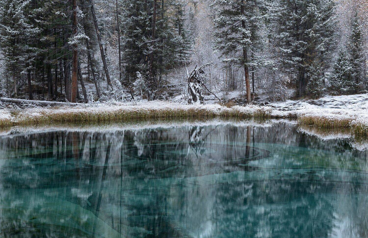 республика алтай.осень, первый снег, гейзерное озеро., Марина Фомина