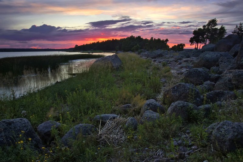 Вспоминая белые ночи. фото превью