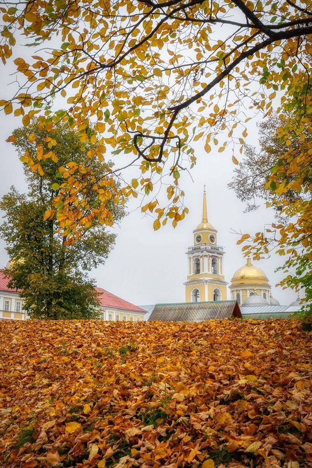 , Федотов Антон