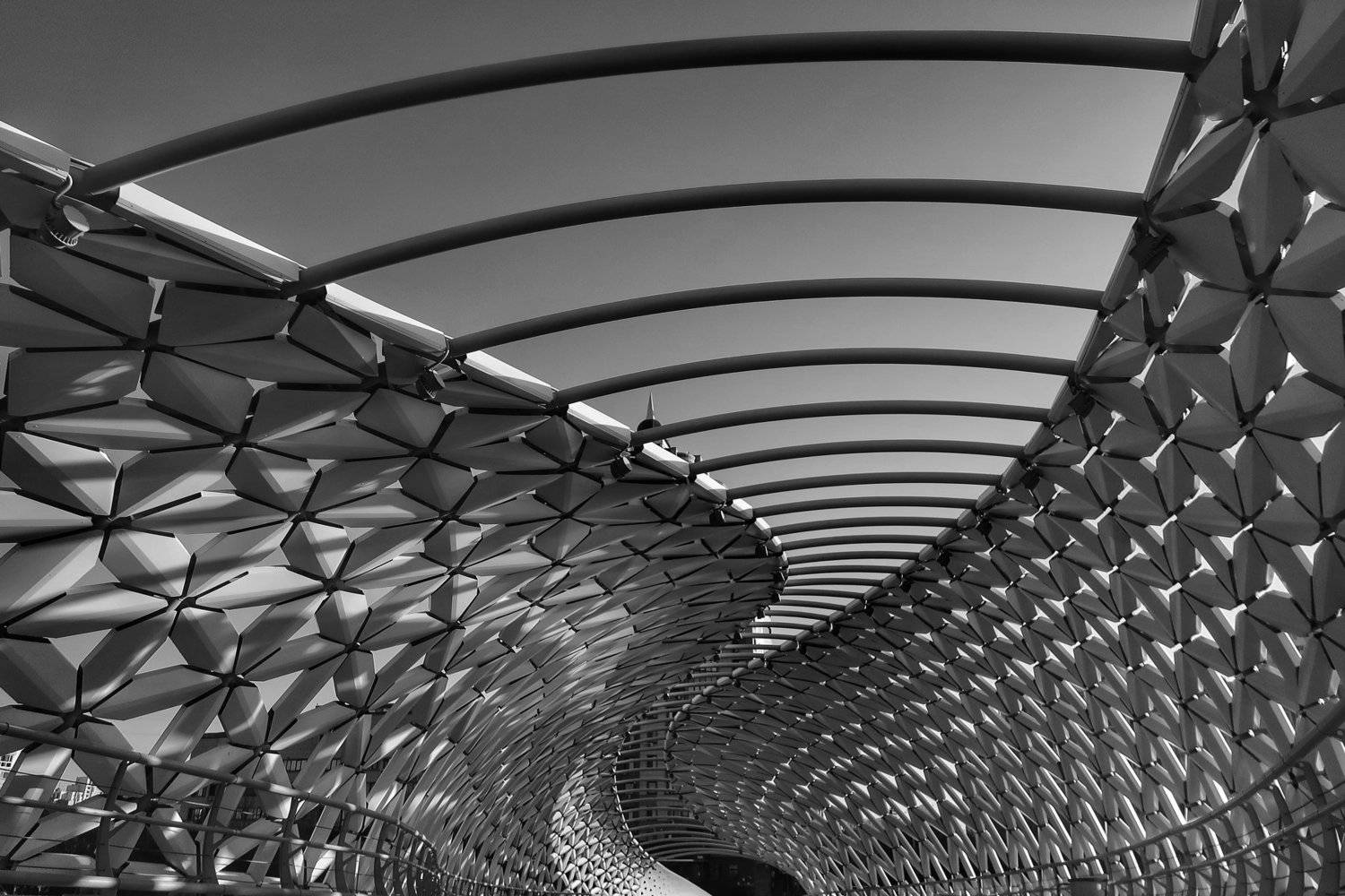 , Игорь Олейник