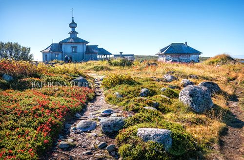 Камни и цветы