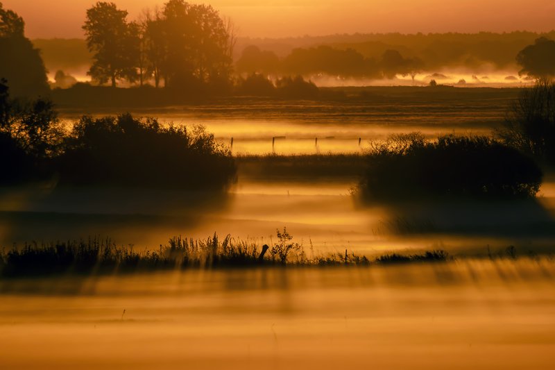 Morning Mists фото превью