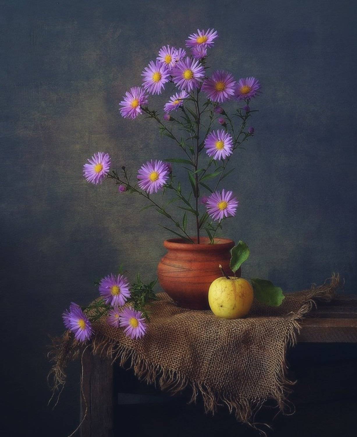 натюрморт,цветы,сентябрины,осень, Наталия К