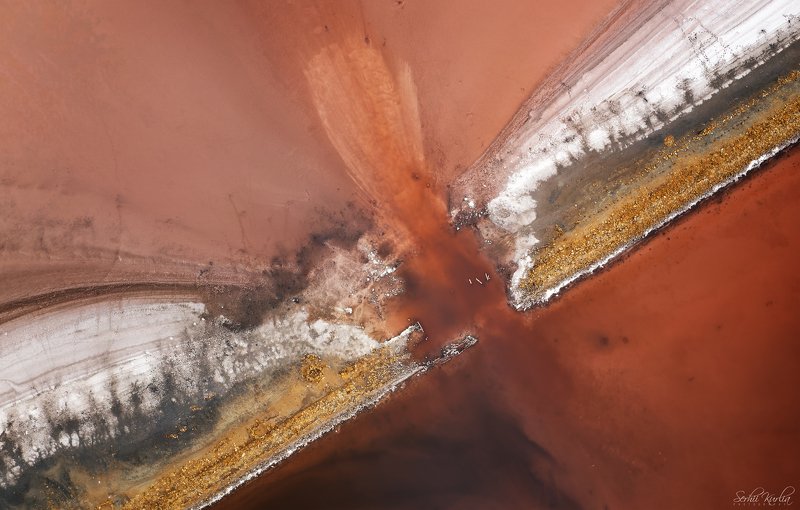 Butterfly фото превью