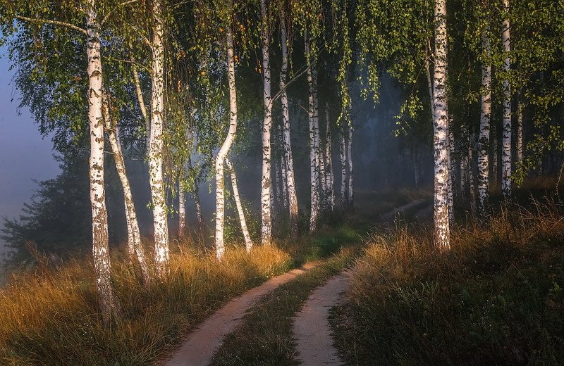 *** фото превью