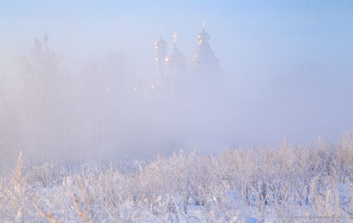 Нежное утро