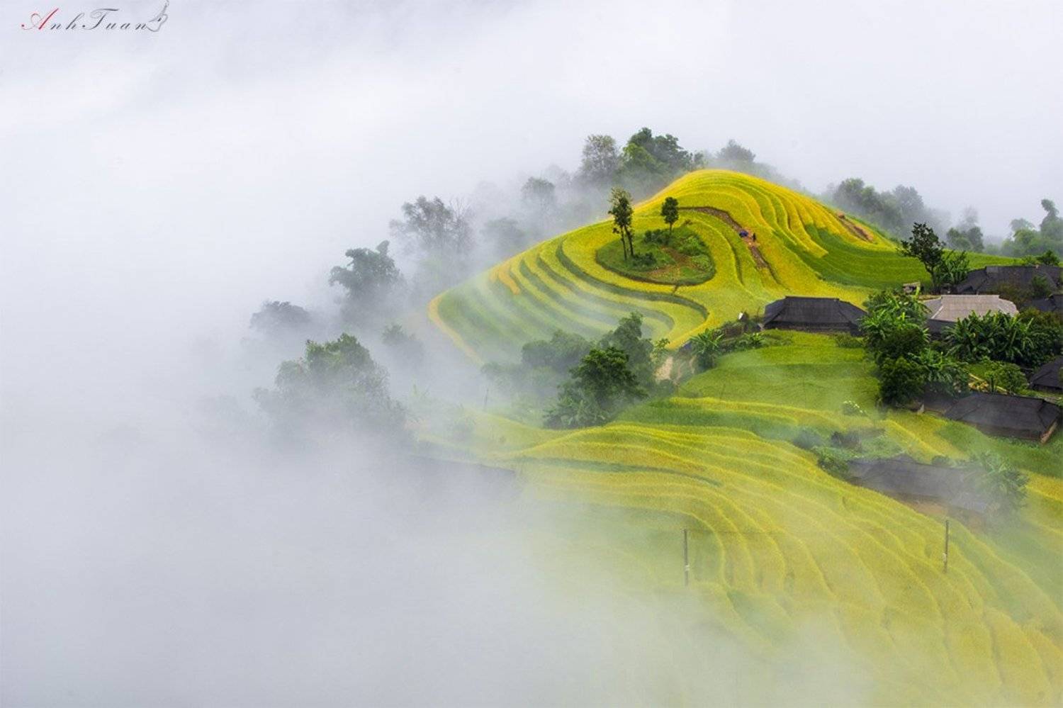 #sellingphoto #landscape, Tuan Guitare