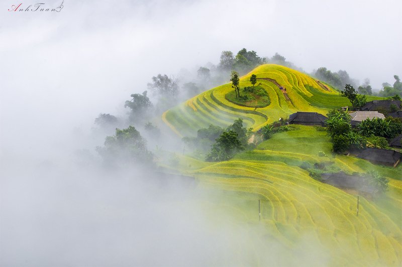 #sellingphoto #landscape Phung Vilage фото превью