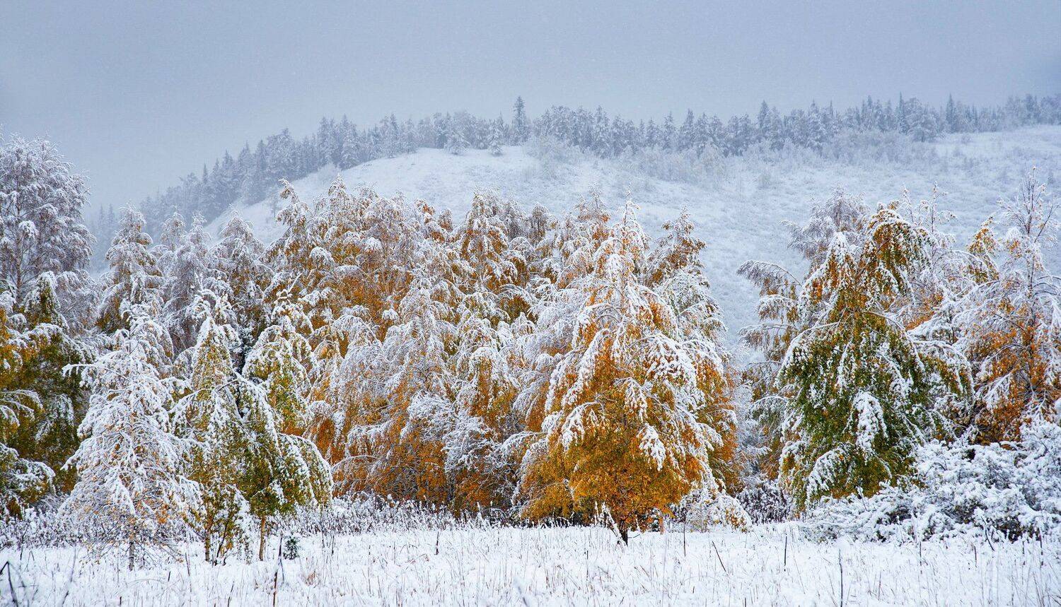 алтай. осень. горы., Евгений Дроботенко