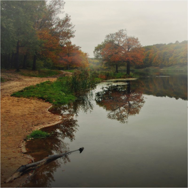 Октябрь фото превью