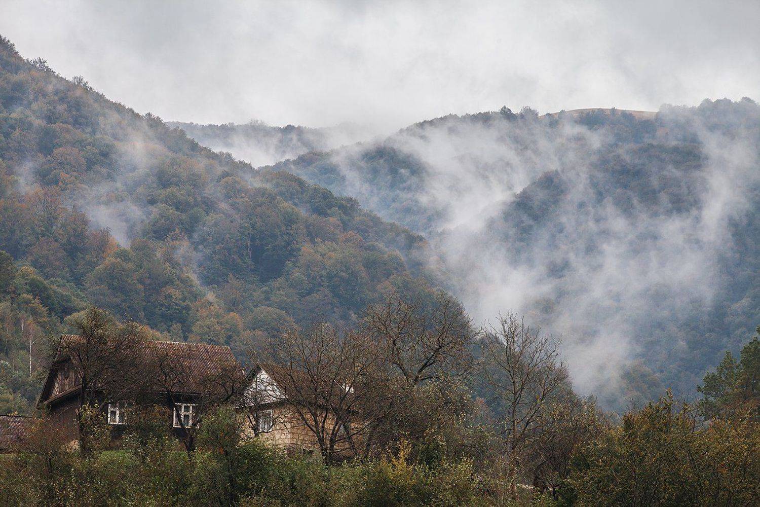 карпаты, Андрей