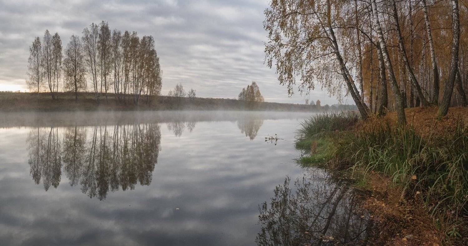лес, свет, утро, природа, Баранов Олег