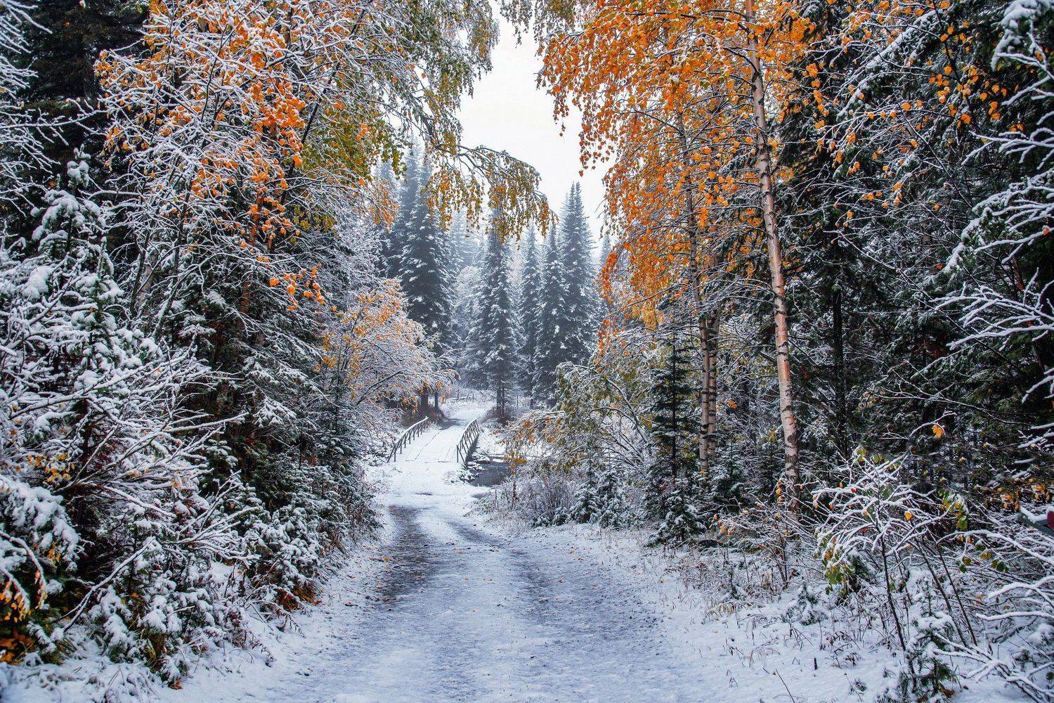 алтай. осень. горы., Евгений Дроботенко