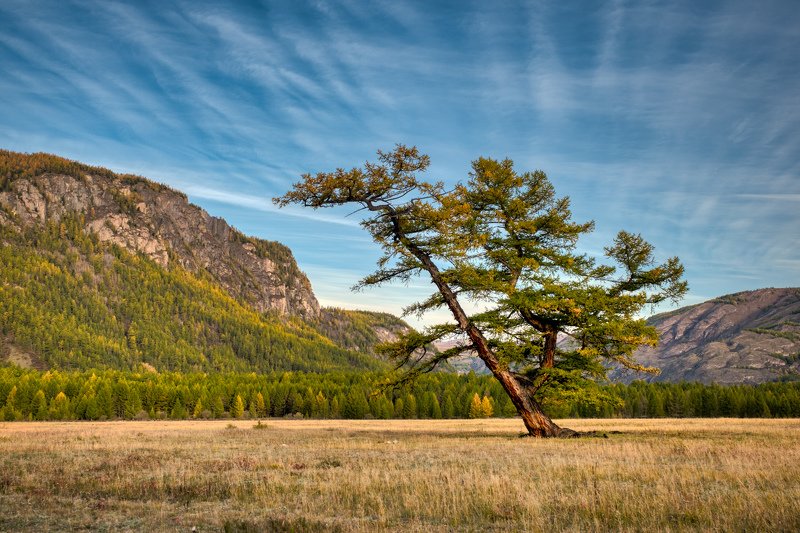 Иероглиф фото превью