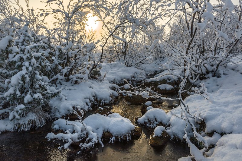 ...первый снег фото превью