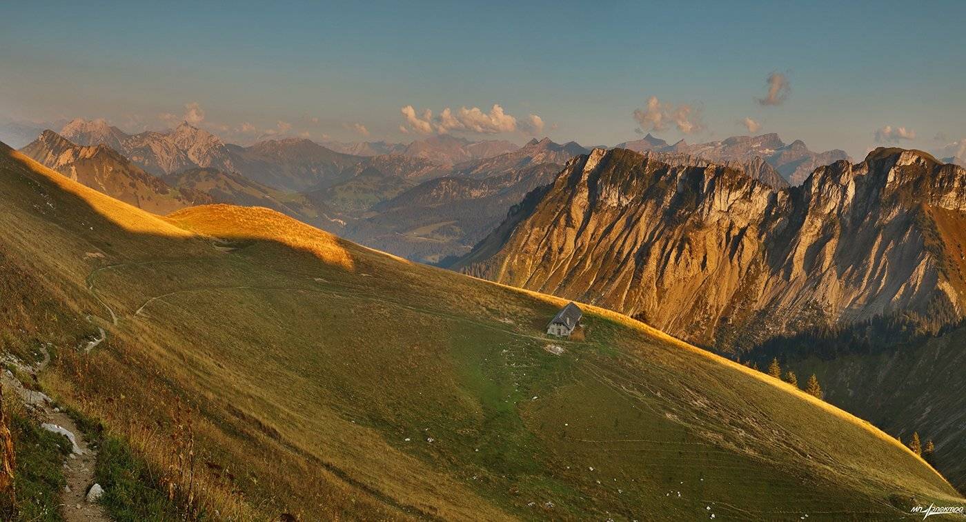 swiss, Матвеев Николай