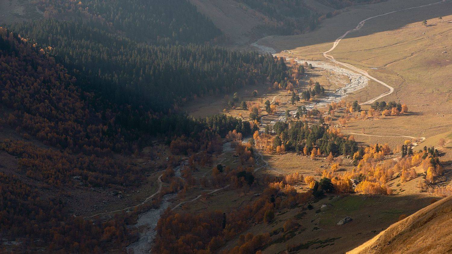 Пейзаж, осень, природа, горы, лес, свет, nature, landscape, orange, autumn, gold, Кавказ, Ефимов Александр