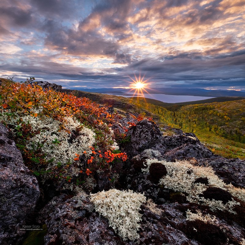 хибины, полярный круг, имандра, камни, мох, золотая осень, закат Лава фото превью