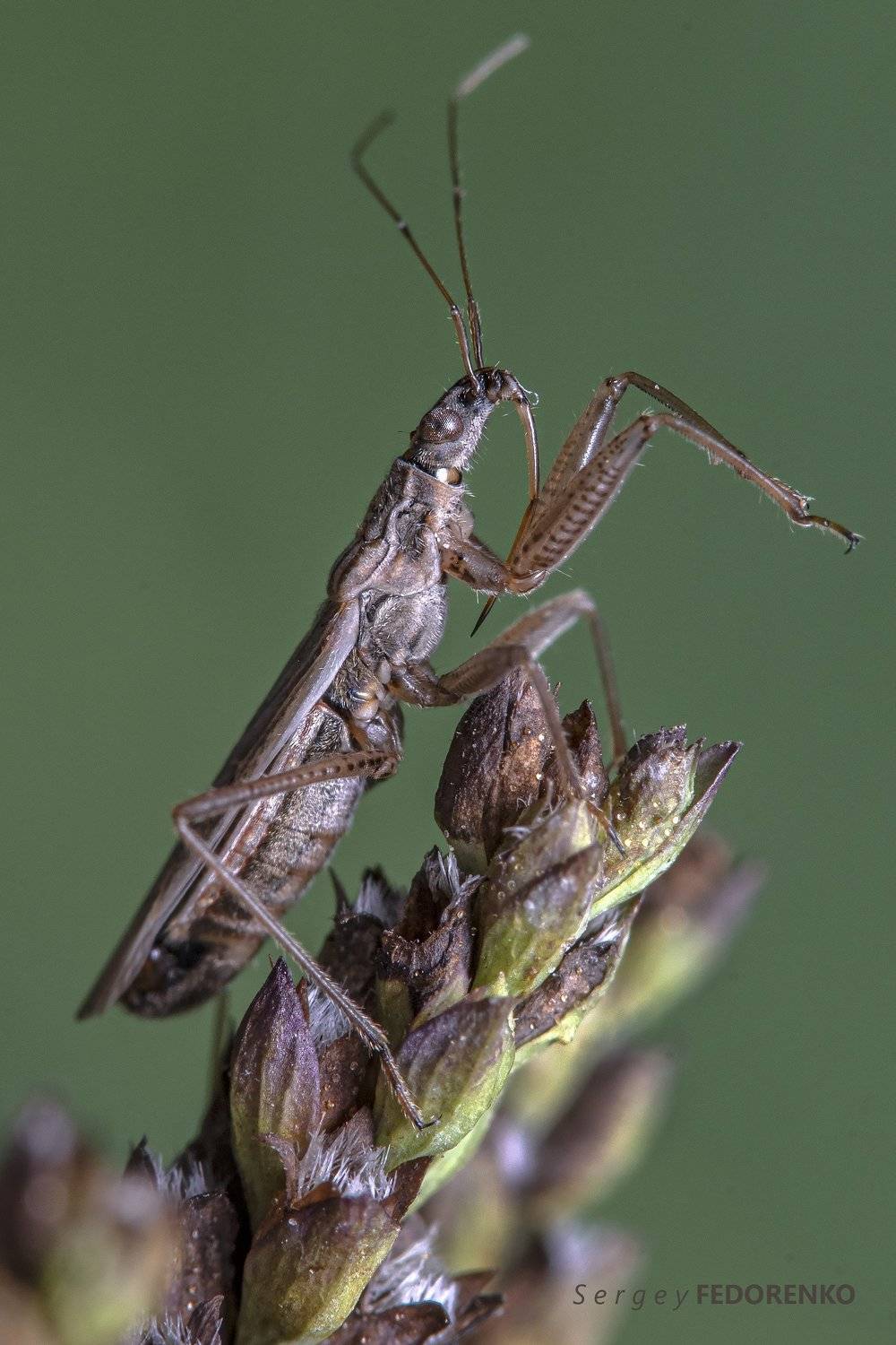 , Сергей Федоренко