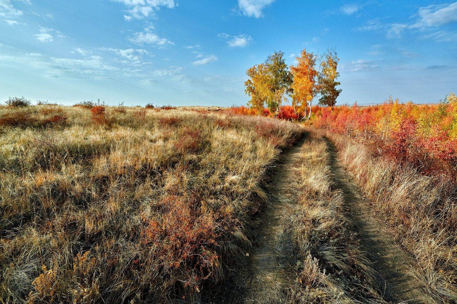 южный урал,оренбургская область, орск, новотроицк,, Качурин Алексей
