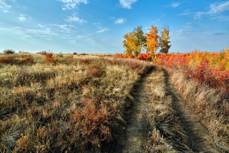 южный урал,оренбургская область, орск, новотроицк, По краю Осени пройдя... фото превью