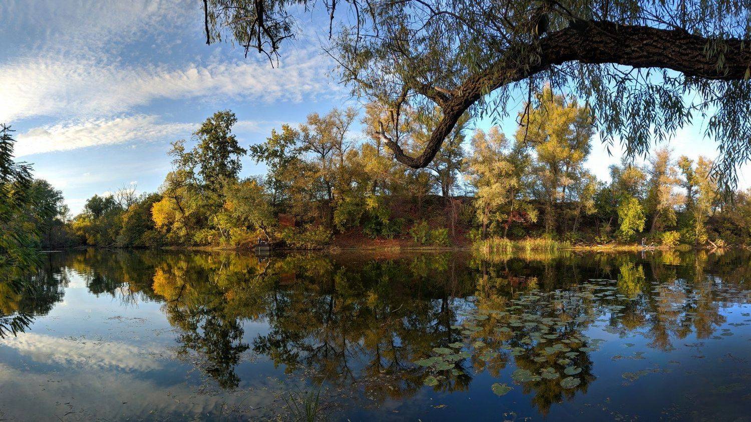 пейзаж,осень,отражение,октябрь,landscape,цвет,вода,релакс,тишина,природа,nature,вид,желтый,, Сергей Богачёв