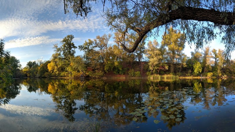 пейзаж,осень,отражение,октябрь,landscape,цвет,вода,релакс,тишина,природа,nature,вид,желтый, *** фото превью