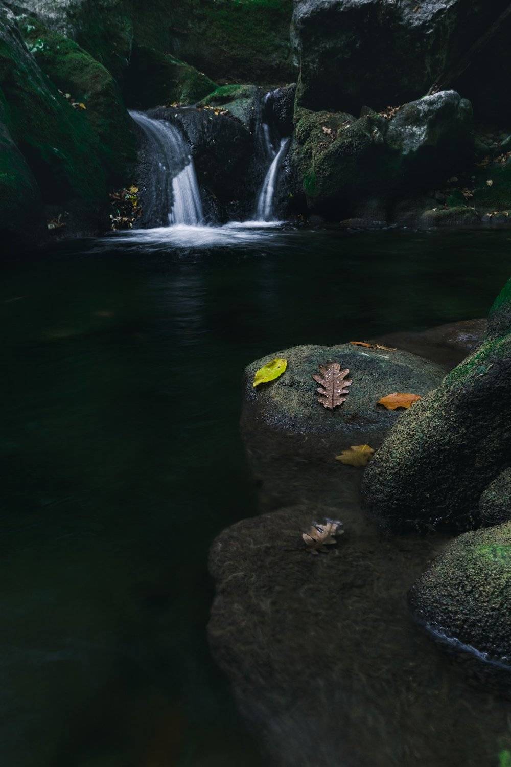 , Андрей Кривцов