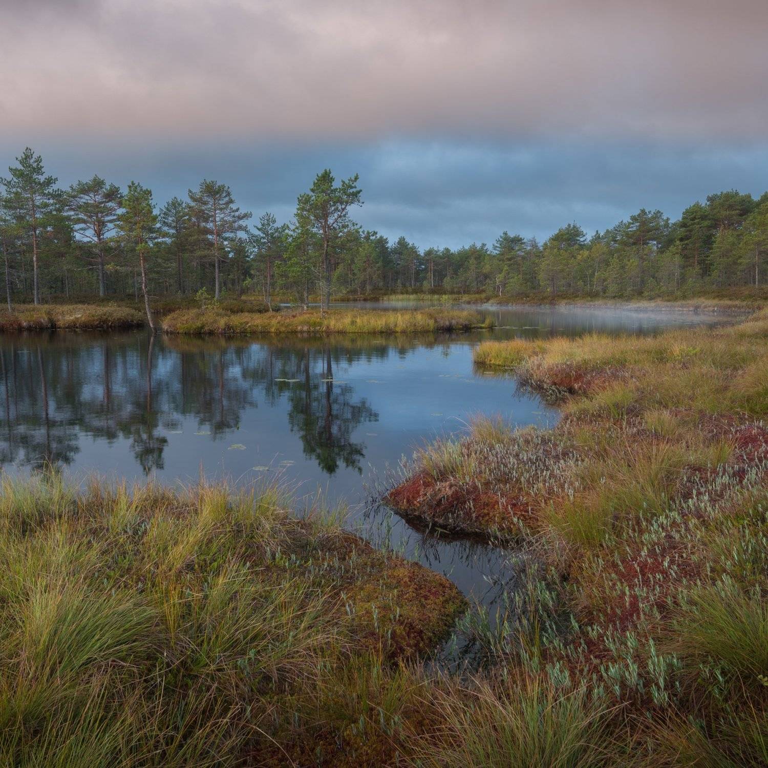 , Роман Фабричный