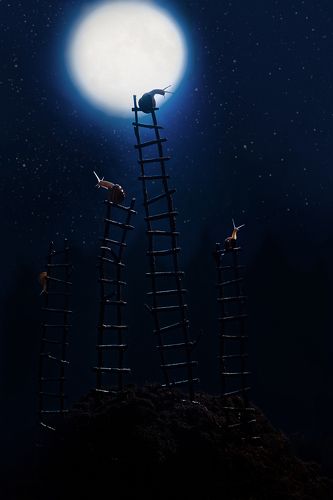 Ночной дозор