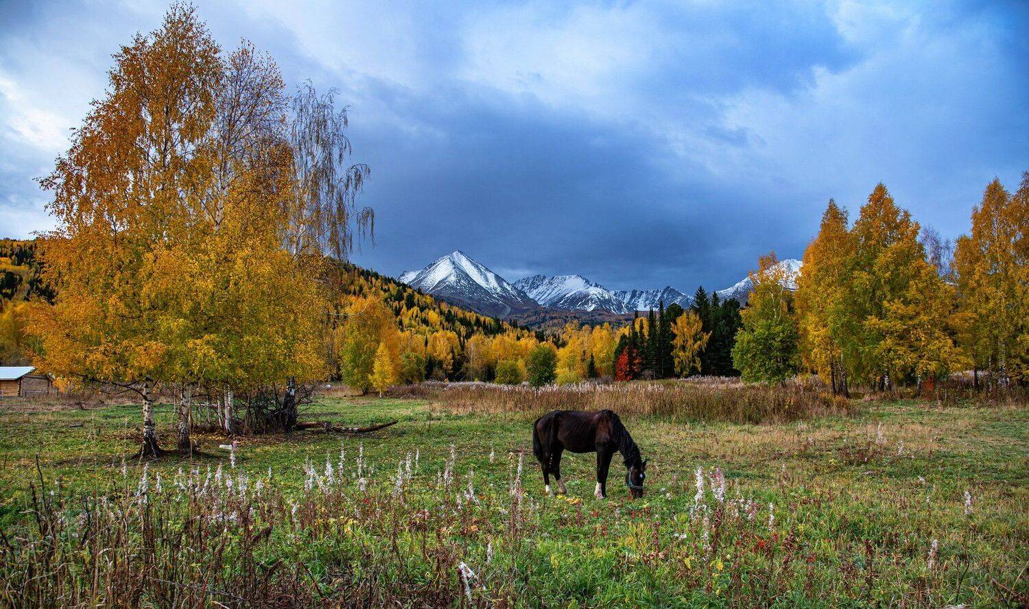 алтай. осень. горы., Евгений Дроботенко