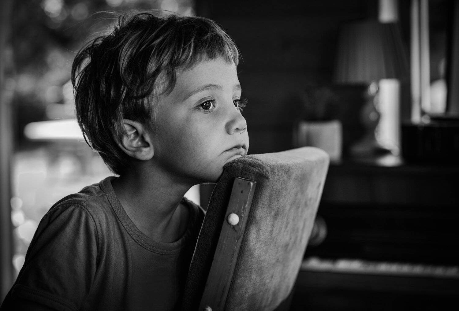 , Vladimir Karamazov