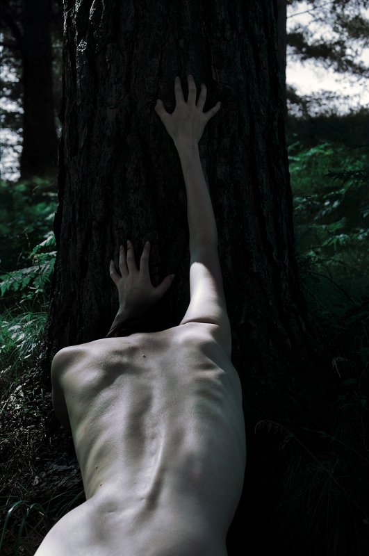 nature absorption фото превью