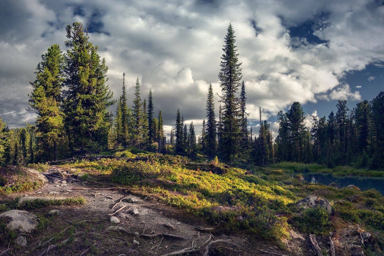 landscape, nature, taiga, lake, forest, rocks, cold, spectacular, пейзаж, природа, тайга, лес, глухая, красивая, озеро, камни, холодное, pure, transparent, morning, moss, чистое, прозрачное, утро, мох, siberia, ergaki, сибирь, ергаки, красноярский край, Дмитрий Антипов