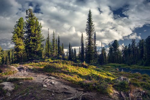 Таёжными тропами