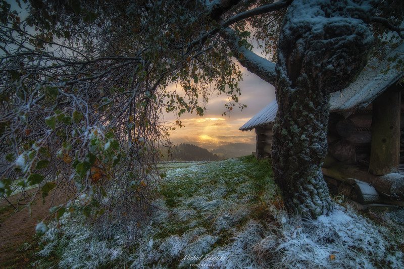 Almost like in a fairy tale ... фото превью