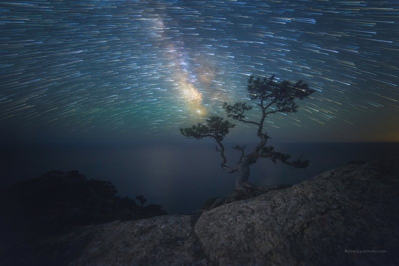 крым, новый свет, пик космос, сосна, ночное фото, ночной пейзаж, астропейзаж Парад комет фото превью