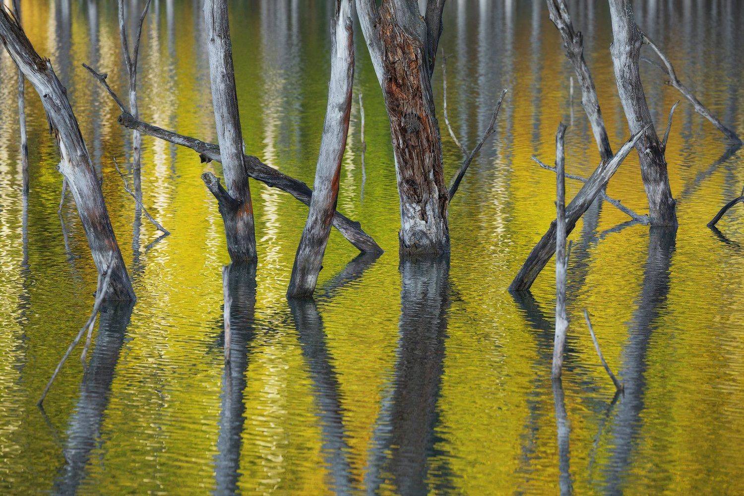 mountains, lake, romania, sunrise, landscape, nature, travel, autumn, trees, clouds, morning, reflection, Lazar Ioan Ovidiu
