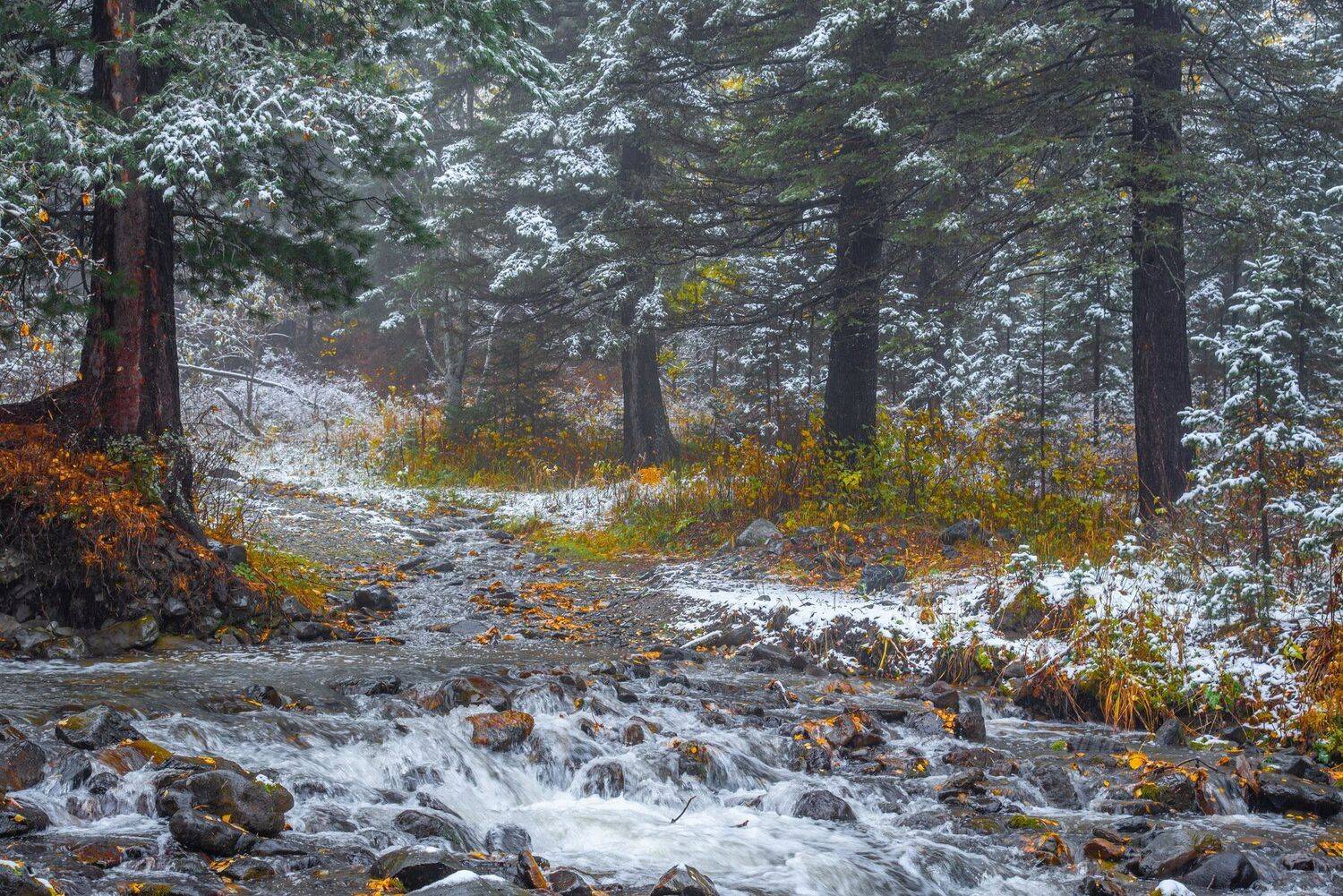 алтай. осень. горы., Евгений Дроботенко