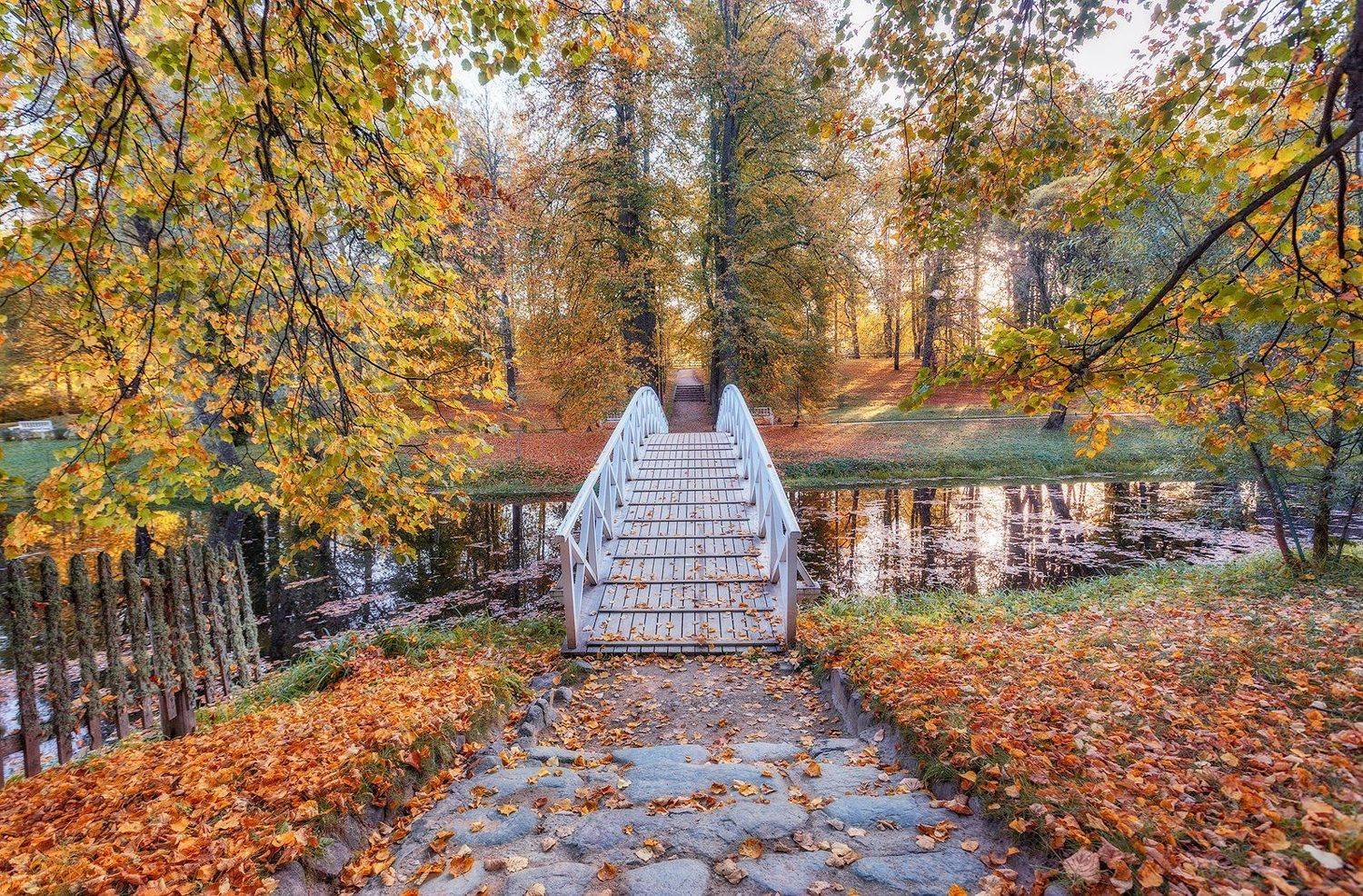 михайловское, пушкинские горы, осень, пушкинские места, Владимир Липецких