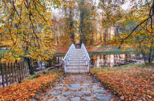 Осень в Михайловском