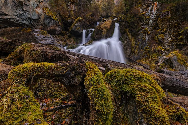 _ фото превью