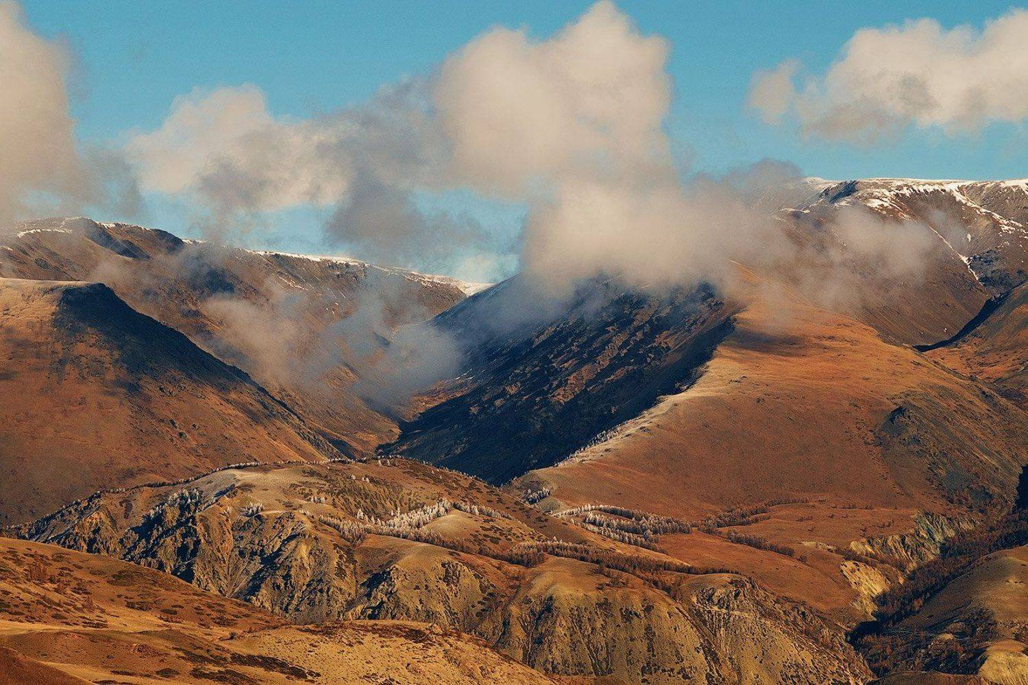 , Олег Логунов