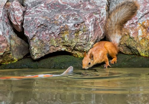 Не договорились...